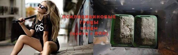a pvp Ростов