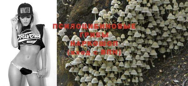 a pvp Ростов