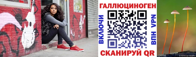 блэк спрут   что такое наркотик  Бронницы  Галлюциногенные грибы Cubensis 